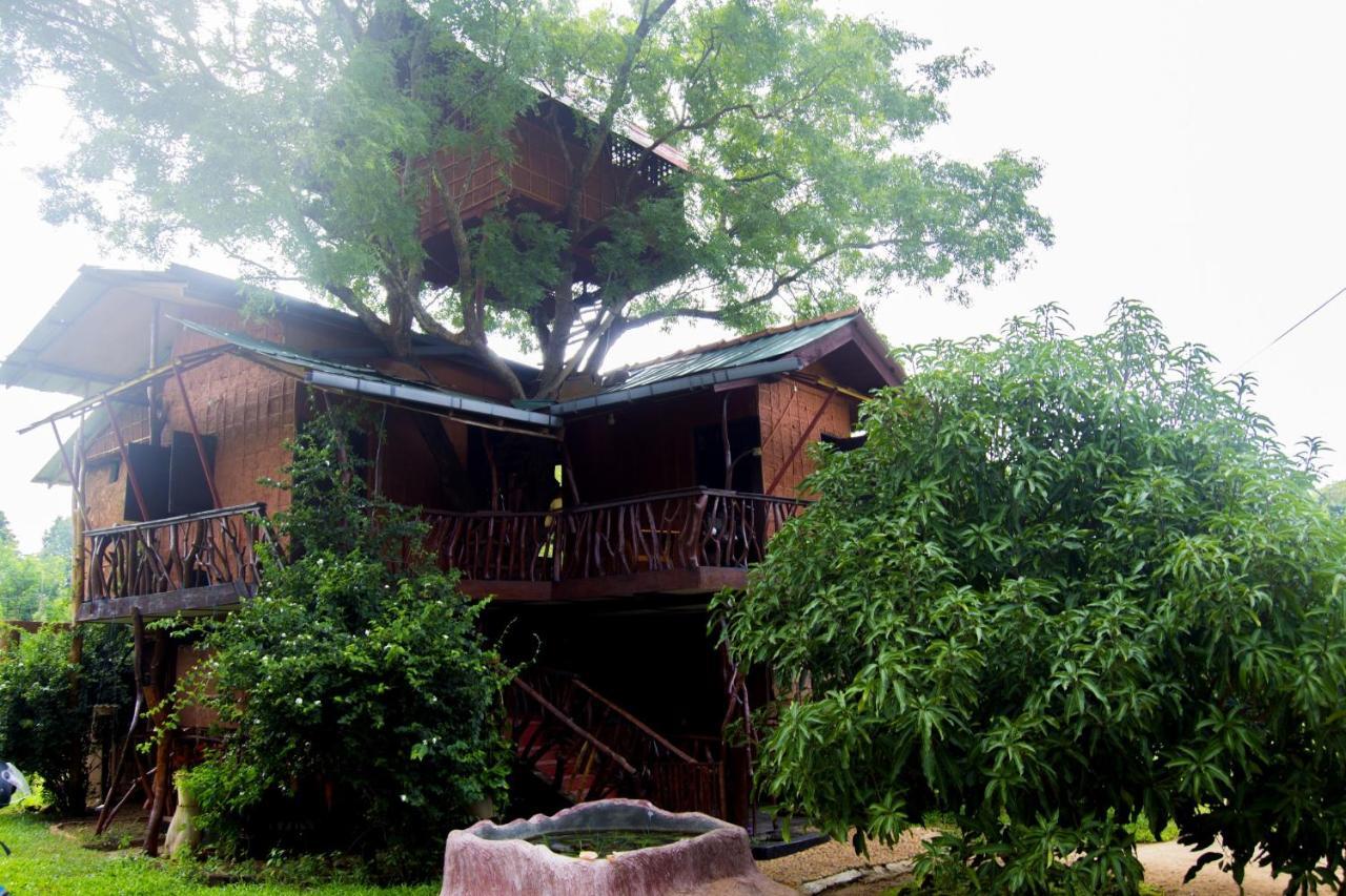 Anushka Nera Nature House 锡吉里亚 客房 照片
